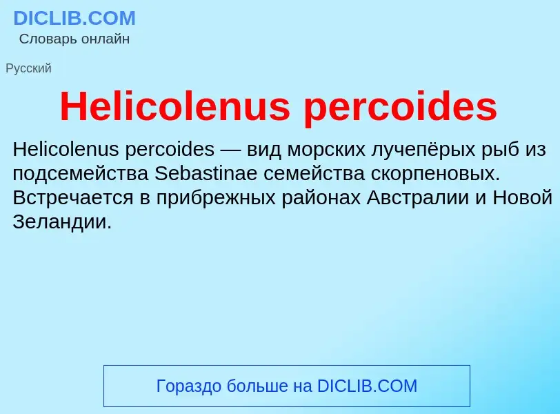 What is Helicolenus percoides - meaning and definition