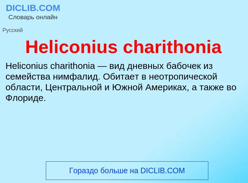 What is Heliconius charithonia - meaning and definition