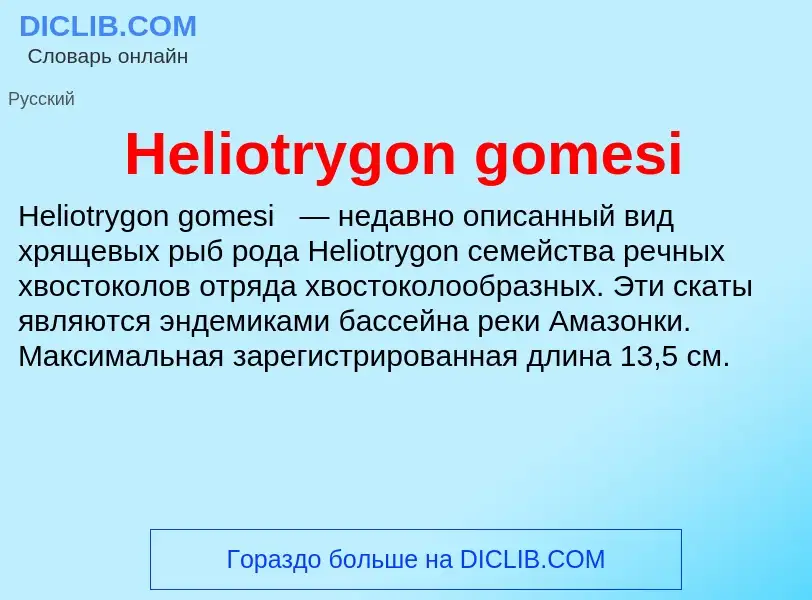 What is Heliotrygon gomesi - meaning and definition