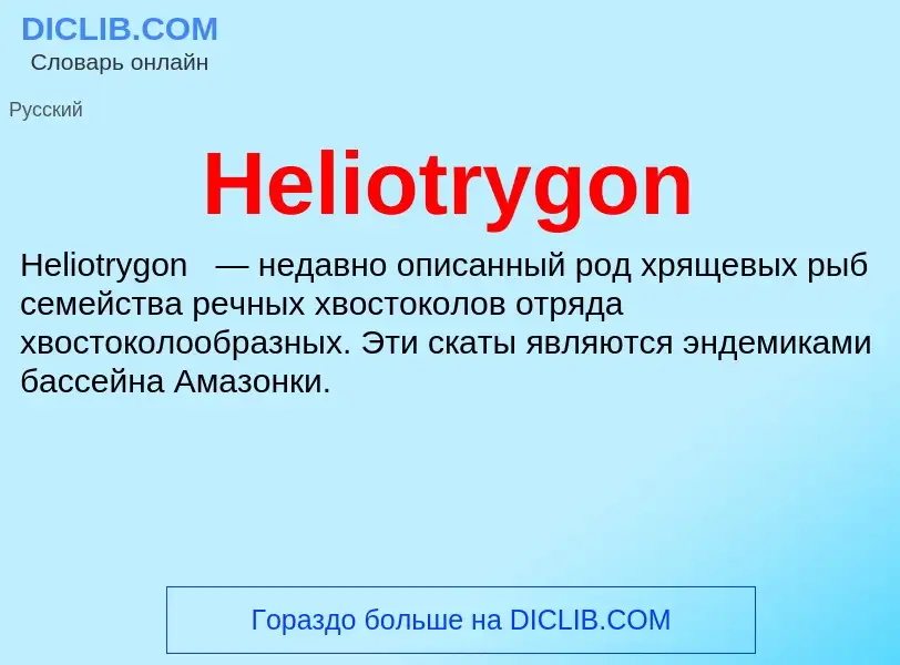 What is Heliotrygon - meaning and definition