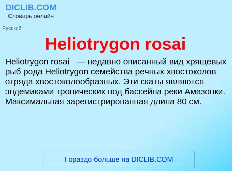 What is Heliotrygon rosai - meaning and definition