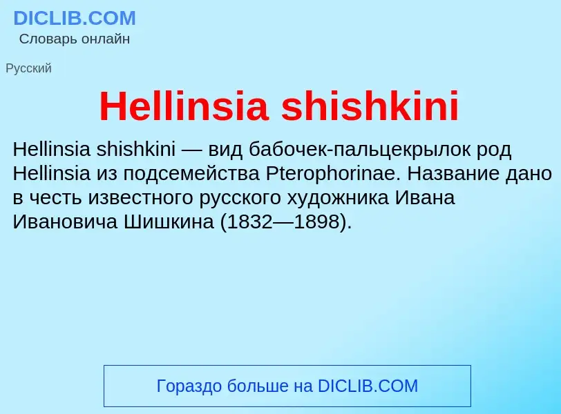 What is Hellinsia shishkini - meaning and definition