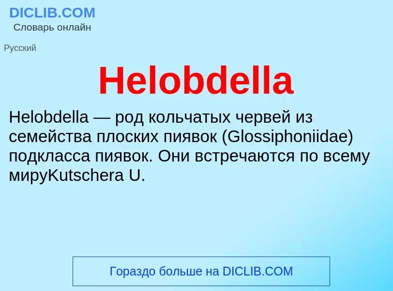 What is Helobdella - meaning and definition