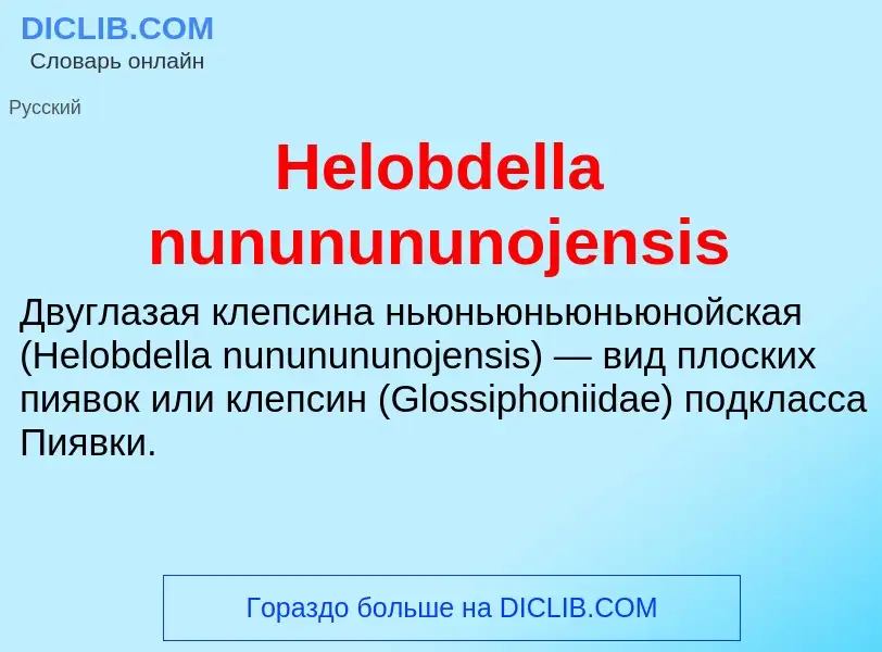 What is Helobdella nununununojensis - meaning and definition