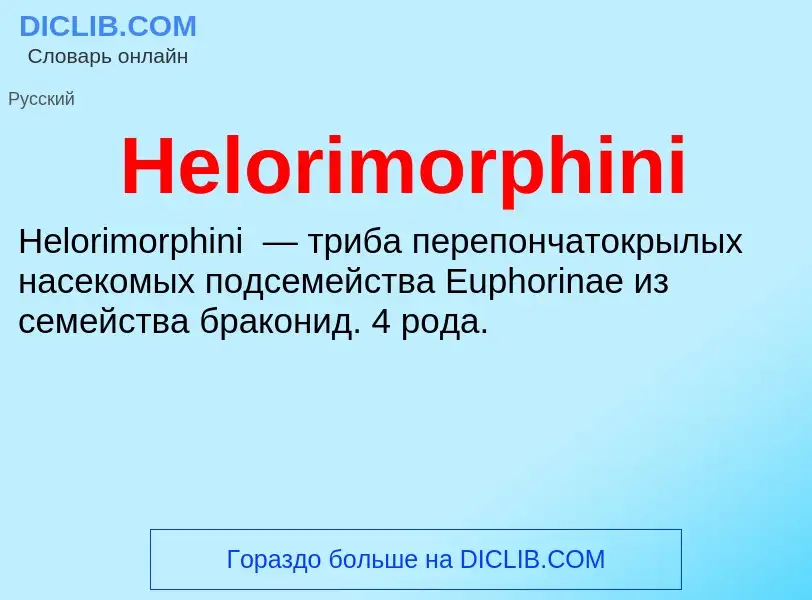 What is Helorimorphini - meaning and definition