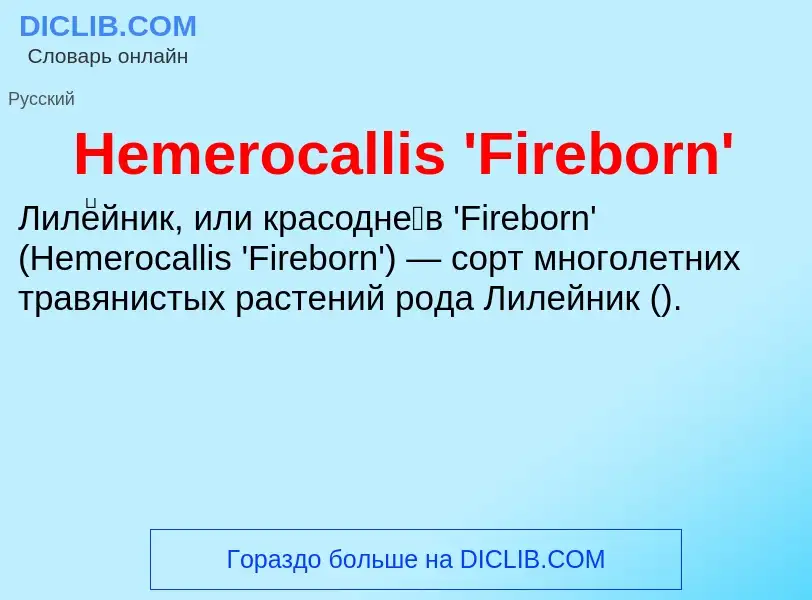 What is Hemerocallis 'Fireborn' - meaning and definition