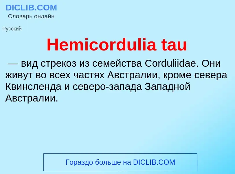 What is Hemicordulia tau - meaning and definition