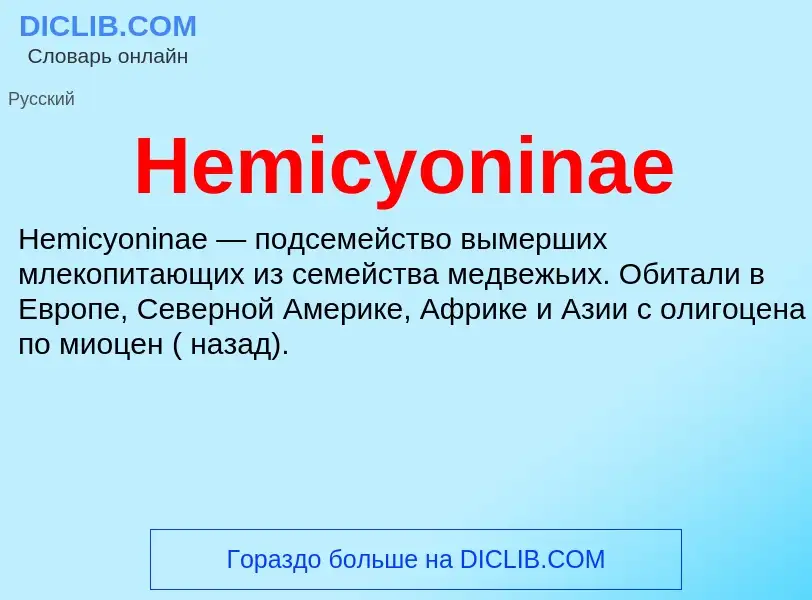 What is Hemicyoninae - meaning and definition