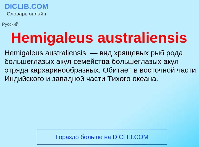 What is Hemigaleus australiensis - meaning and definition