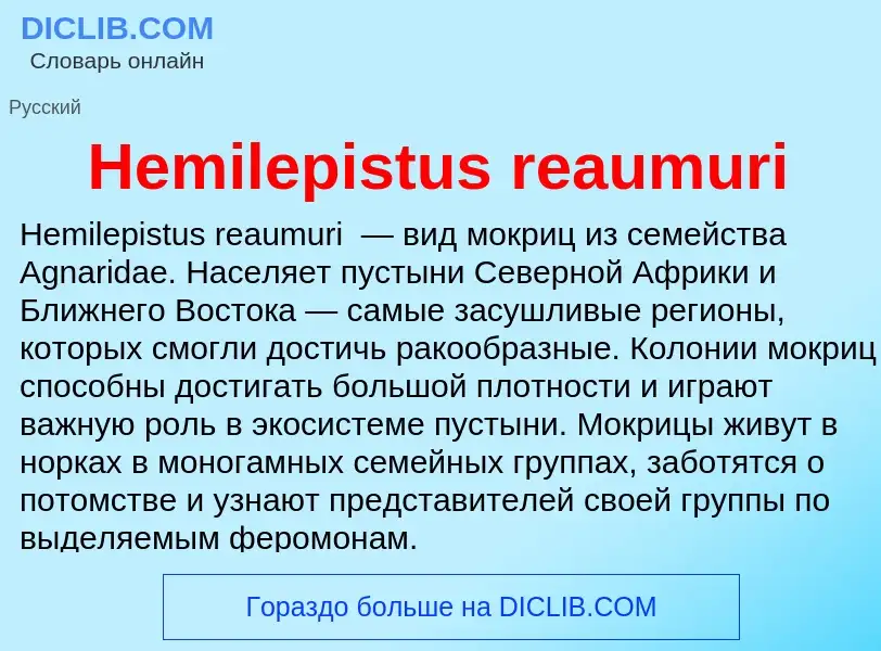 What is Hemilepistus reaumuri - meaning and definition