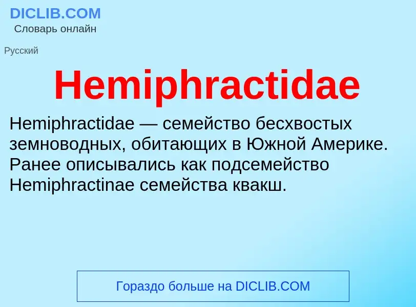 What is Hemiphractidae - meaning and definition