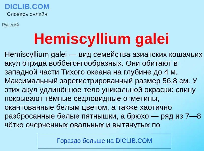 What is Hemiscyllium galei - meaning and definition