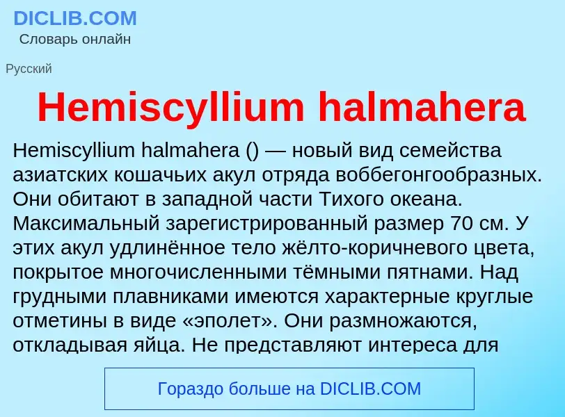 What is Hemiscyllium halmahera - meaning and definition