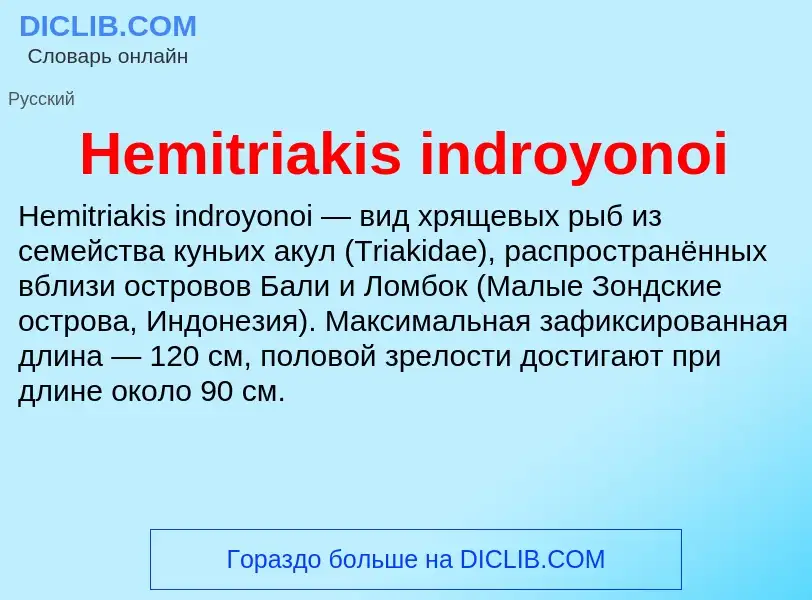 What is Hemitriakis indroyonoi - meaning and definition