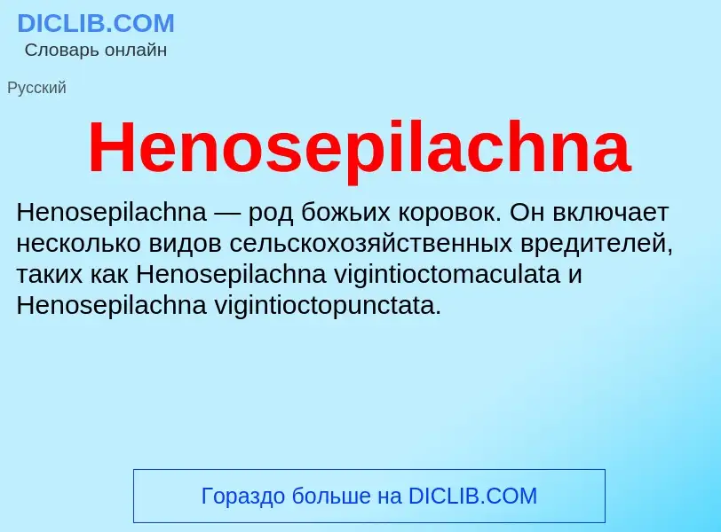 What is Henosepilachna - meaning and definition