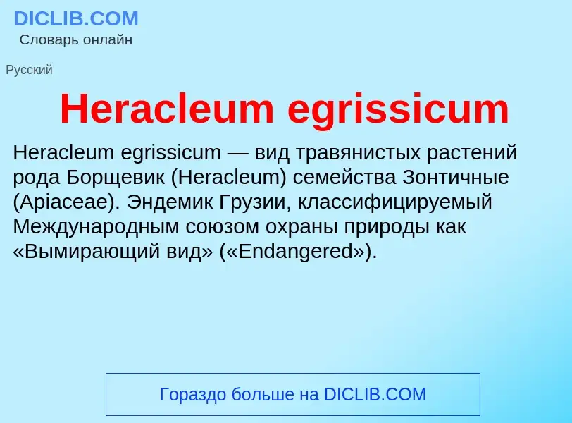 What is Heracleum egrissicum - meaning and definition