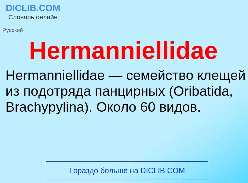 What is Hermanniellidae - meaning and definition