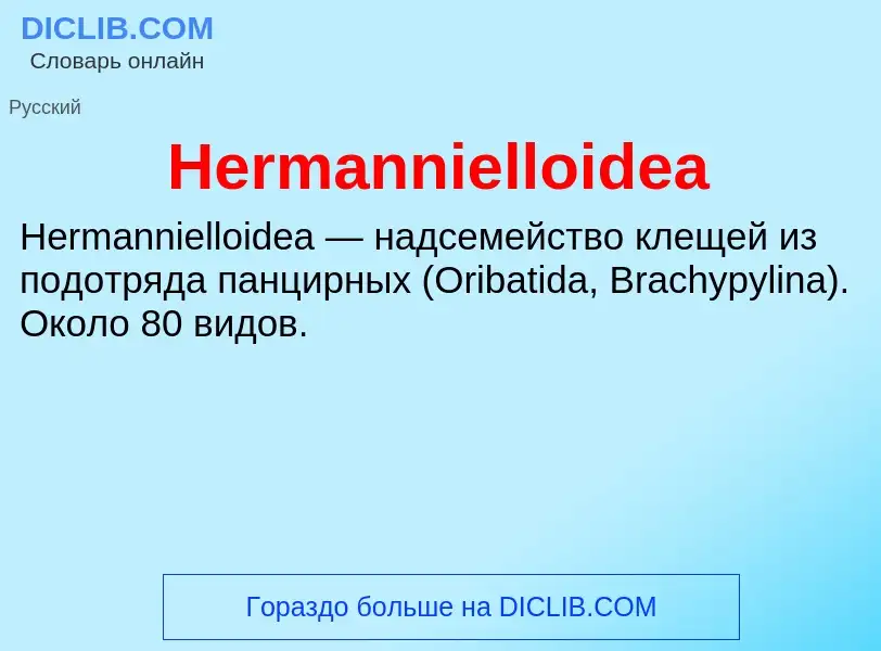 What is Hermannielloidea - meaning and definition