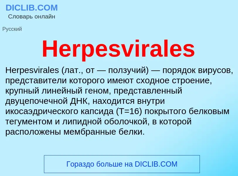 What is Herpesvirales - meaning and definition