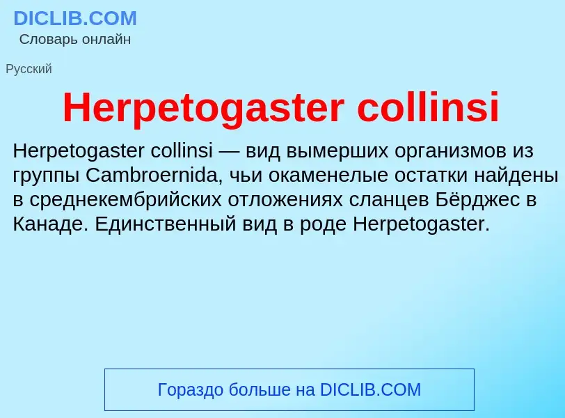 What is Herpetogaster collinsi - meaning and definition