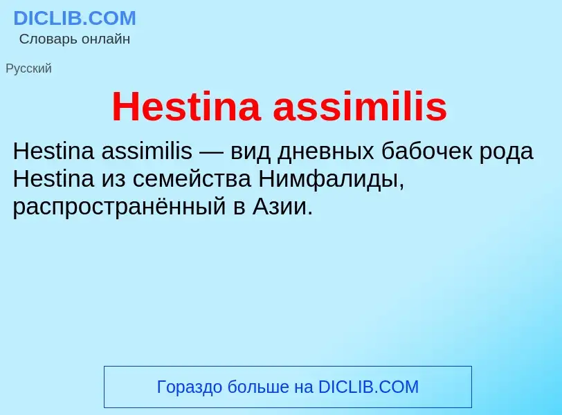 What is Hestina assimilis - meaning and definition