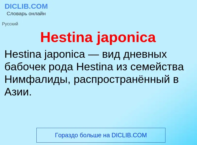 What is Hestina japonica - meaning and definition