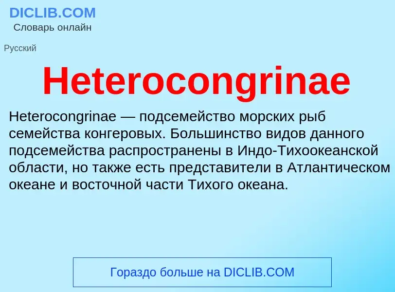 What is Heterocongrinae - meaning and definition