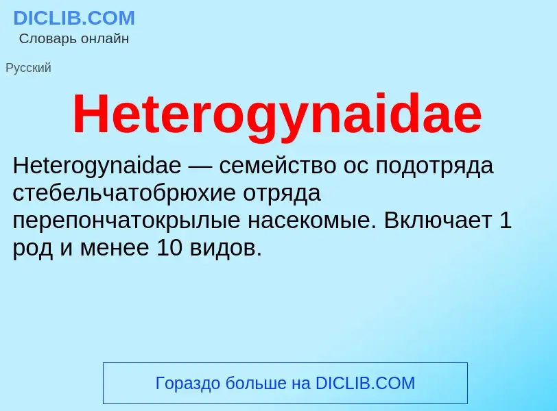 What is Heterogynaidae - meaning and definition