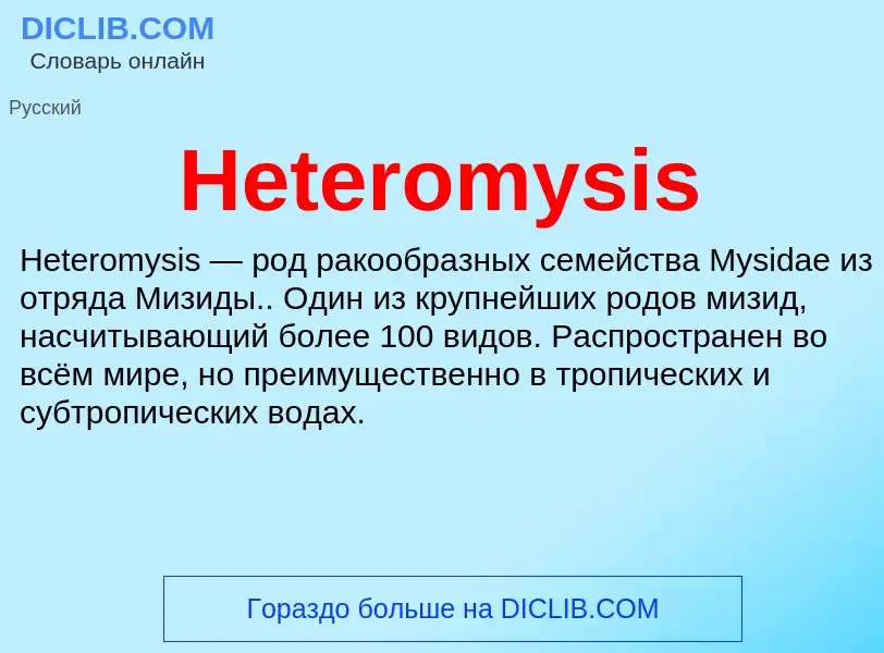 What is Heteromysis - meaning and definition