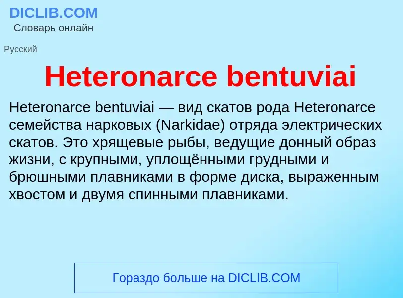 What is Heteronarce bentuviai - meaning and definition