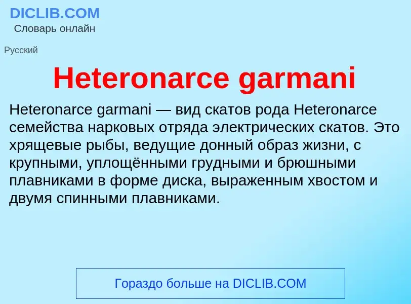 What is Heteronarce garmani - meaning and definition