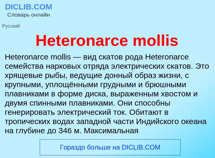 What is Heteronarce mollis - meaning and definition