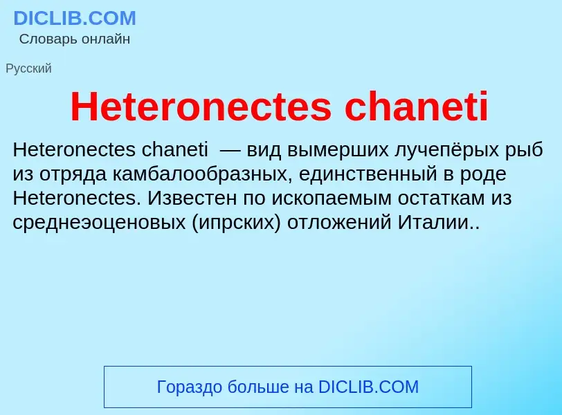 What is Heteronectes chaneti - meaning and definition