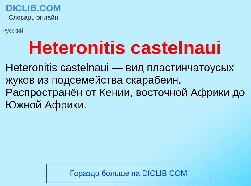 What is Heteronitis castelnaui - meaning and definition