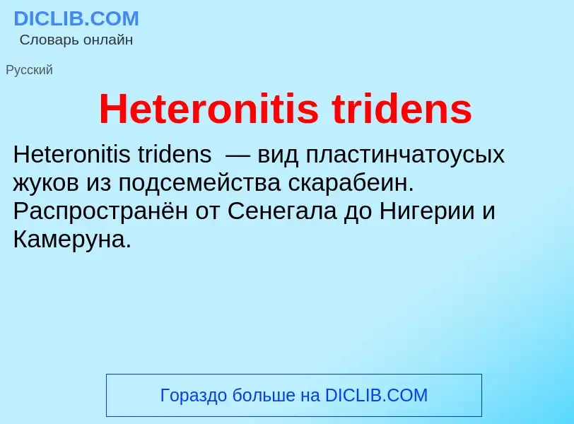 What is Heteronitis tridens - meaning and definition