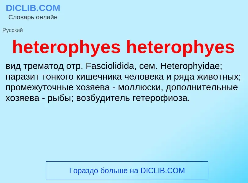 Что такое heterophyes heterophyes - определение