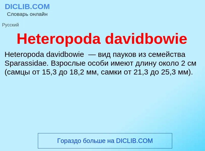 What is Heteropoda davidbowie - meaning and definition