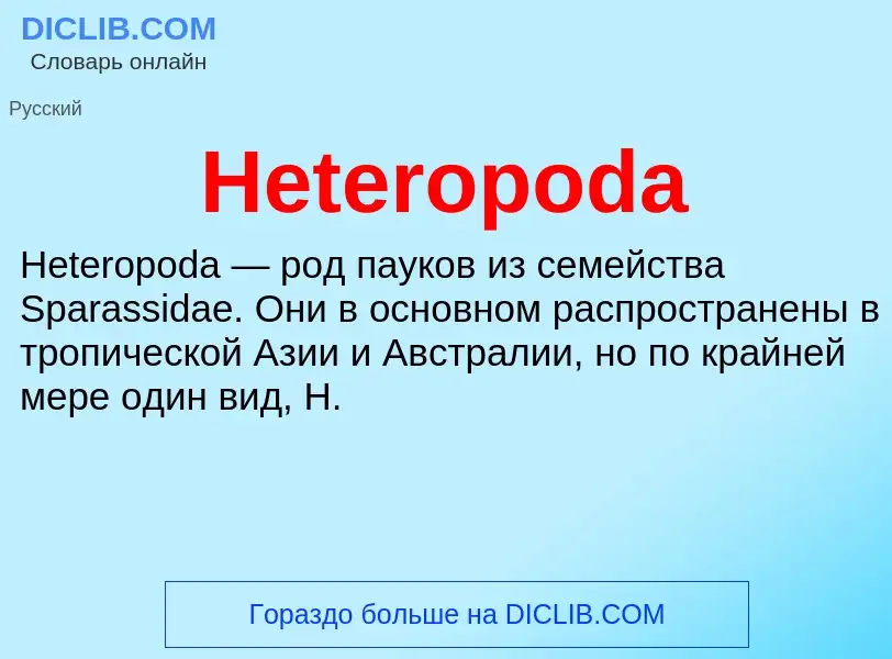 What is Heteropoda - meaning and definition