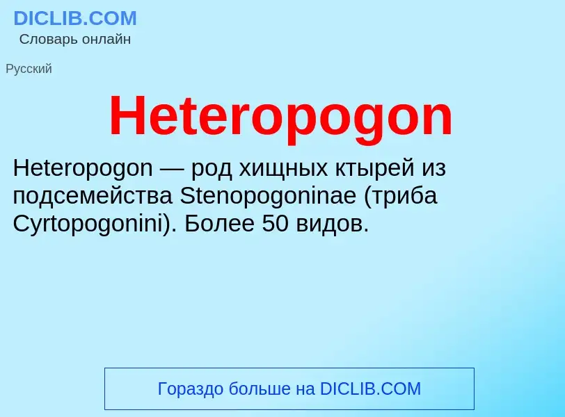 What is Heteropogon - meaning and definition