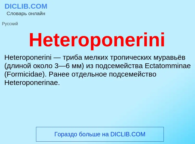 What is Heteroponerini - meaning and definition