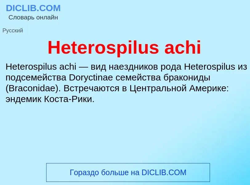 What is Heterospilus achi - meaning and definition