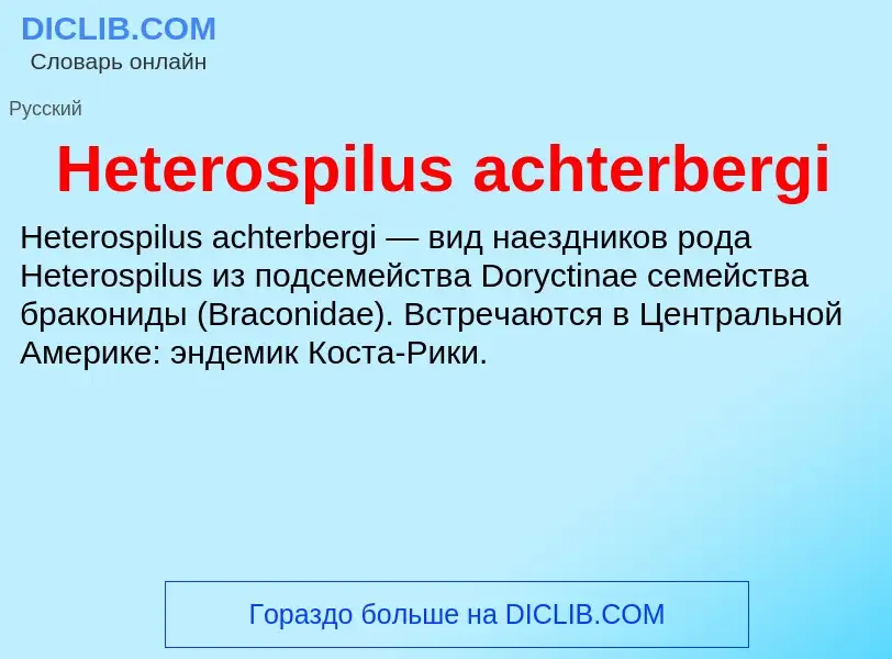 What is Heterospilus achterbergi - meaning and definition