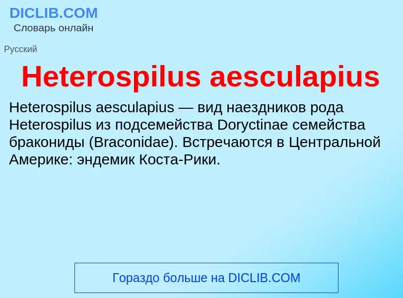 What is Heterospilus aesculapius - meaning and definition