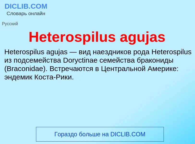 What is Heterospilus agujas - meaning and definition