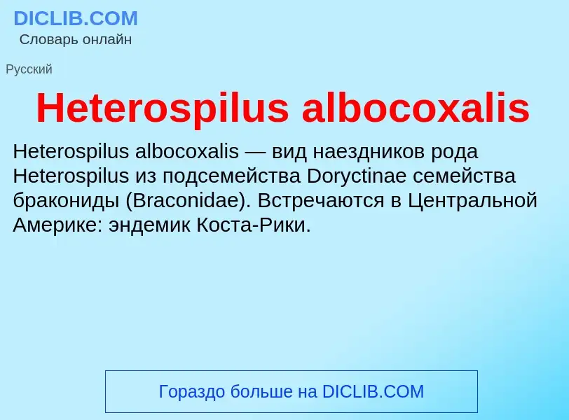 What is Heterospilus albocoxalis - meaning and definition