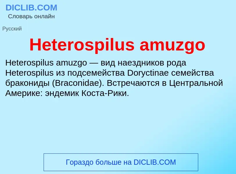 What is Heterospilus amuzgo - meaning and definition