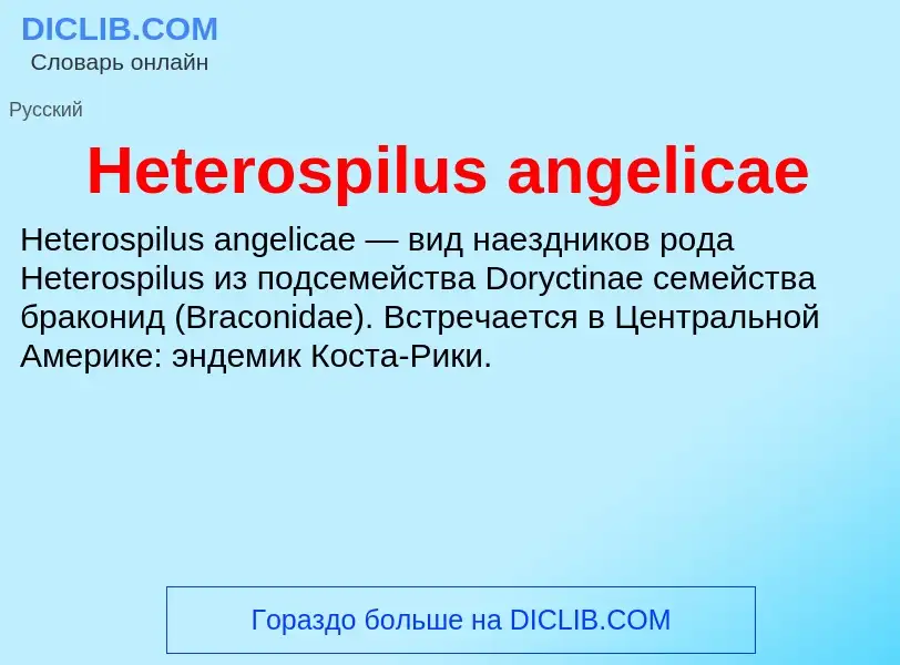 What is Heterospilus angelicae - meaning and definition