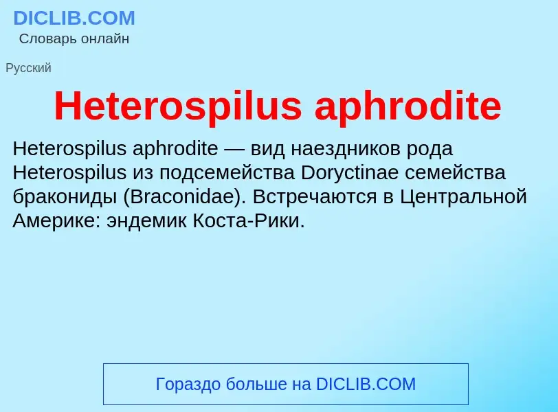 What is Heterospilus aphrodite - meaning and definition