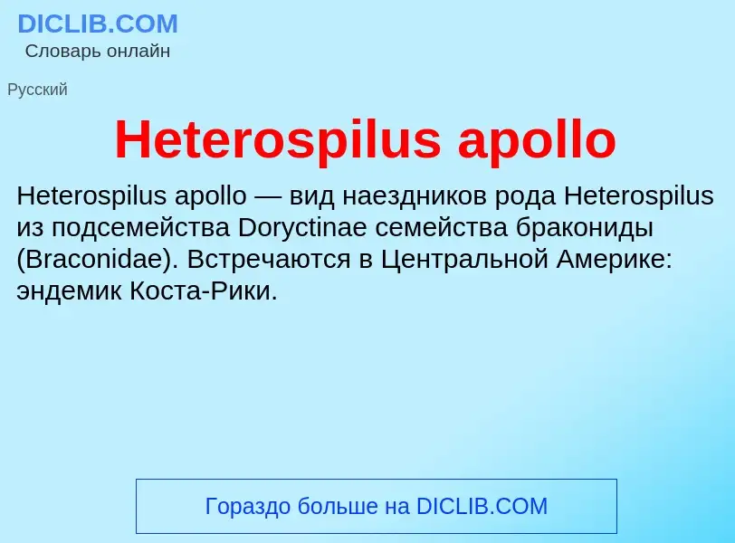 What is Heterospilus apollo - meaning and definition