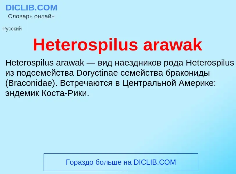 What is Heterospilus arawak - meaning and definition